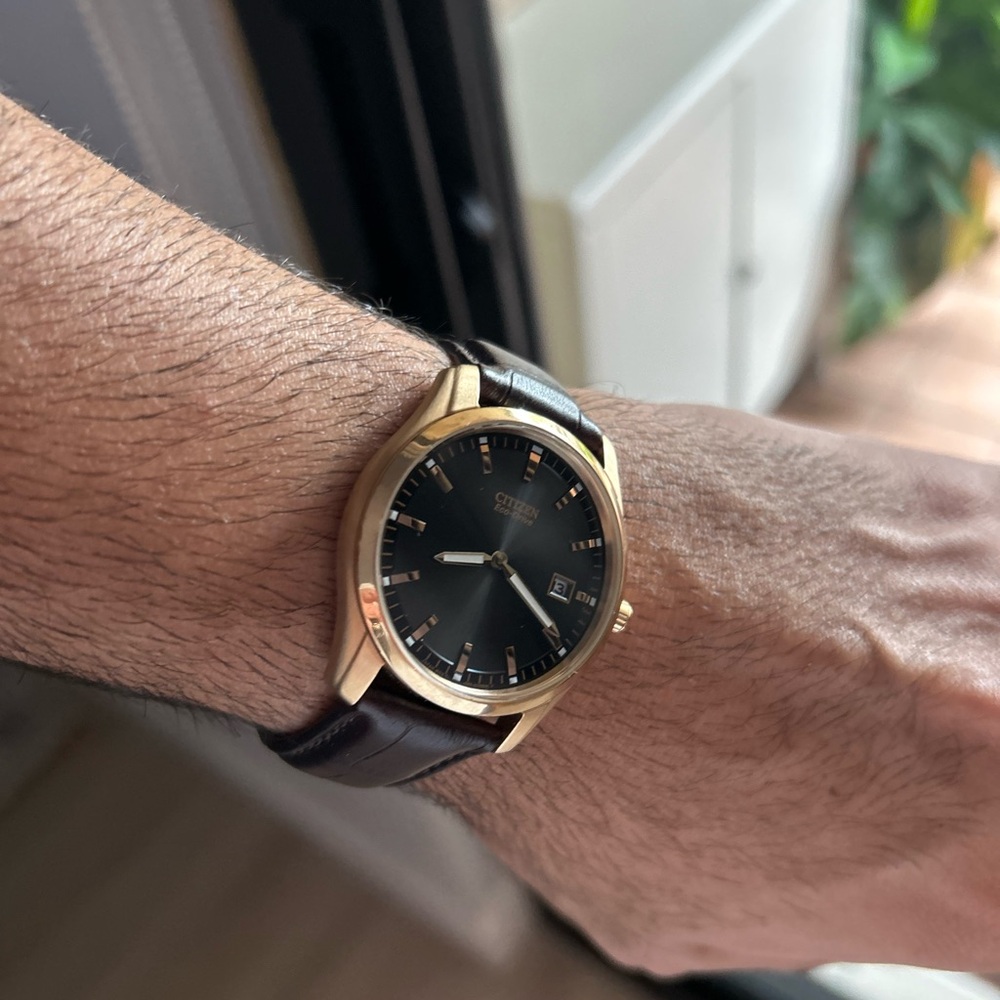 Citizen Gold and Black Minimalist Watch